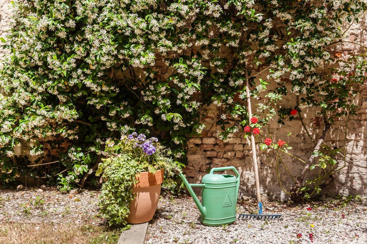 Hostly - Garden House Near The Tower - Historical House With Private Garden Apartment Pisa Exterior photo